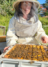 Load image into Gallery viewer, Beekeeping Mentor session