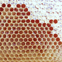 Load image into Gallery viewer, Beeswax 30g