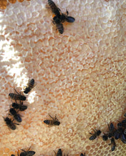 Load image into Gallery viewer, Hunni-Bee Body Butter