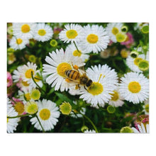 Load image into Gallery viewer, Jigsaw Puzzle (30, 110, 252, 500,1000-Piece)