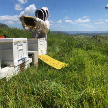 Load image into Gallery viewer, Raw Honey